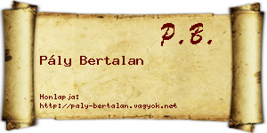 Pály Bertalan névjegykártya